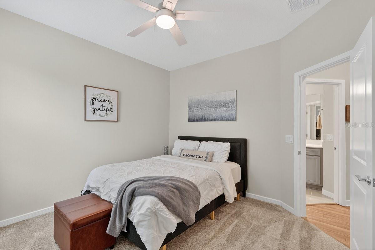 CANOPY TERRACE - Residential