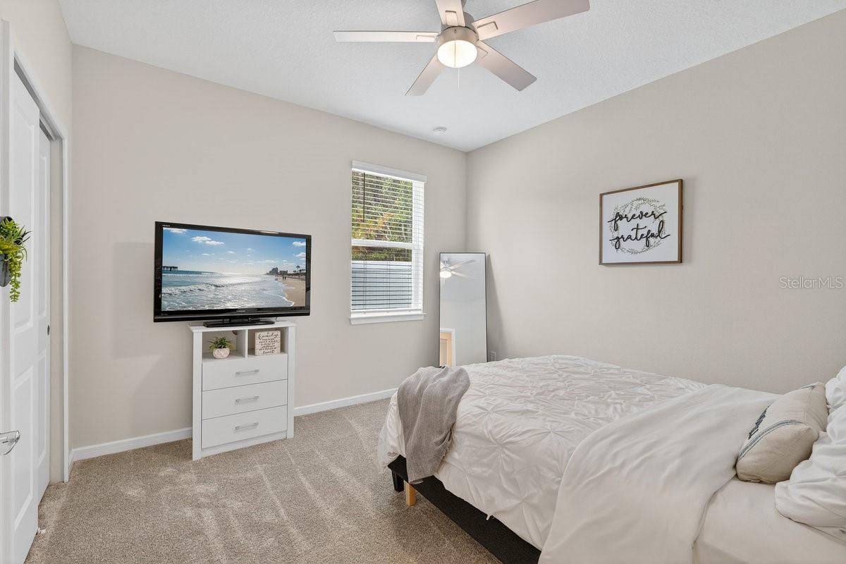 CANOPY TERRACE - Residential