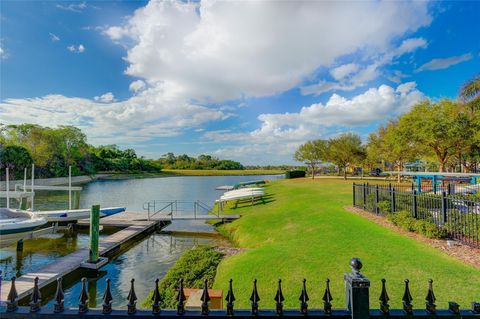 A home in APOLLO BEACH