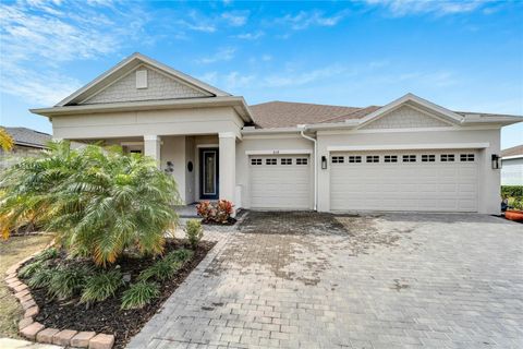 A home in APOLLO BEACH