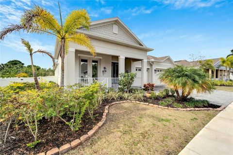 A home in APOLLO BEACH