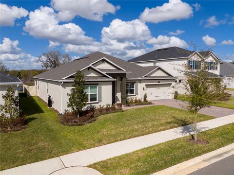 Photo of 734 Creeping Fig Street, Apopka, FL 32703 (MLS # O6387411)