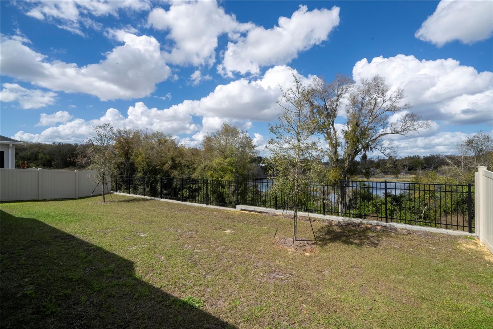 EMERSON POINTE-APOPKA - Residential