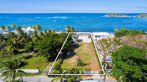 BARRIO CERRO GORDO SECTOR BALANDRAS VEGA ALTA  00692