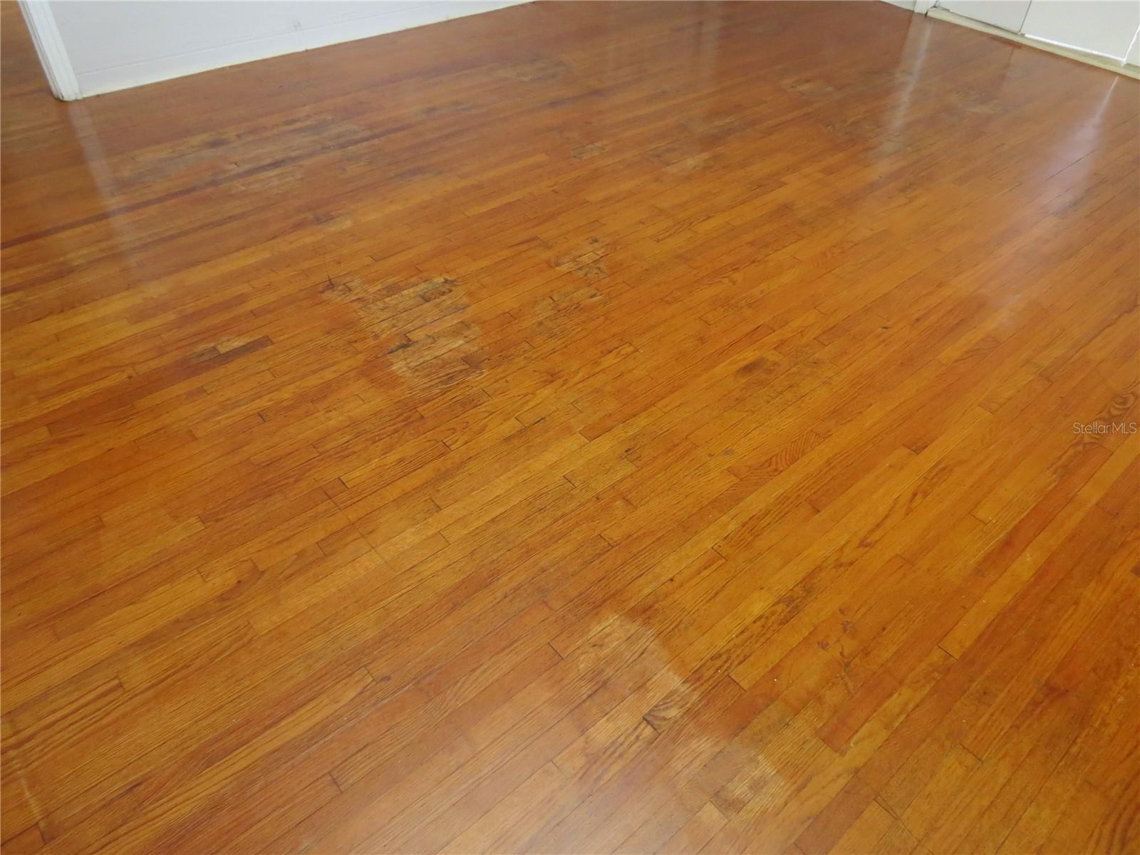 ROCKEFELLER HEIGHTS ORMOND BEACH - Residential Lease