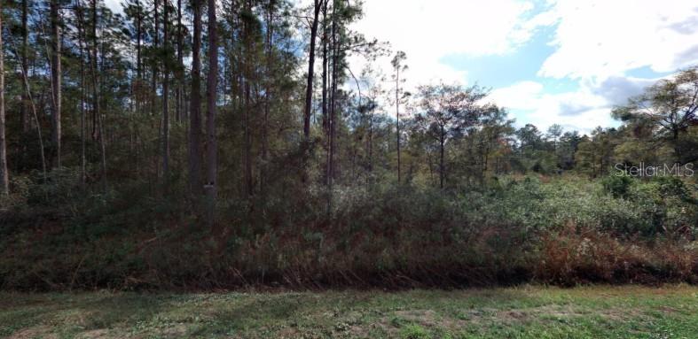 Country Living in St. Johns County!
Enjoy peaceful country living just a short drive from I-95, the ocean, historic St. Augustine, vibrant Jacksonville, and even Disney! This beautiful parcel is divided from Tract 2018 and offers the perfect blend of seclusion and convenience.
Each parcel is available for $45,000, or purchase the full package—a total of 2.27 acres—and create the home of your dreams. Whether you're ready to build now or planning for the future, this is a fantastic opportunity in a growing area.
Bring your vision—your new home awaits!