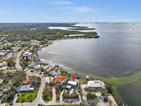 A home in PALM HARBOR