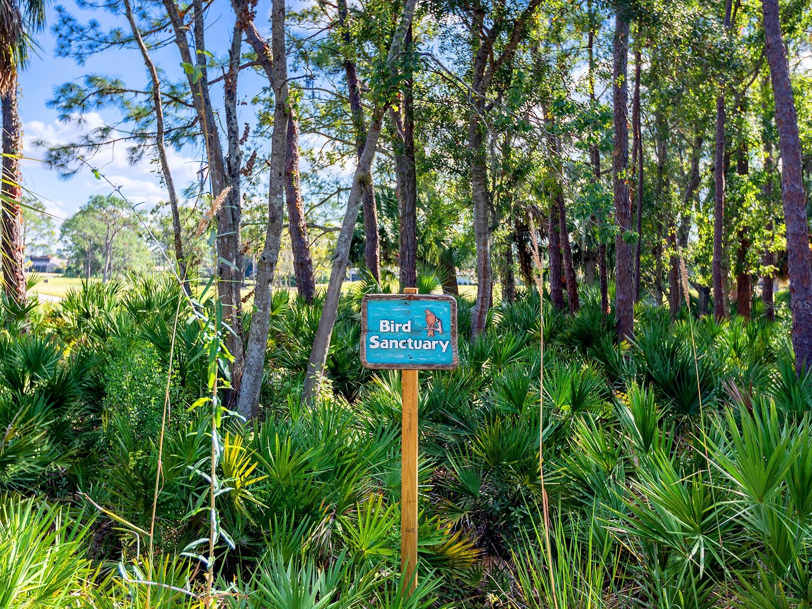 WOODLAND GROVE - Residential