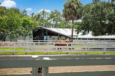 A home in TAMPA