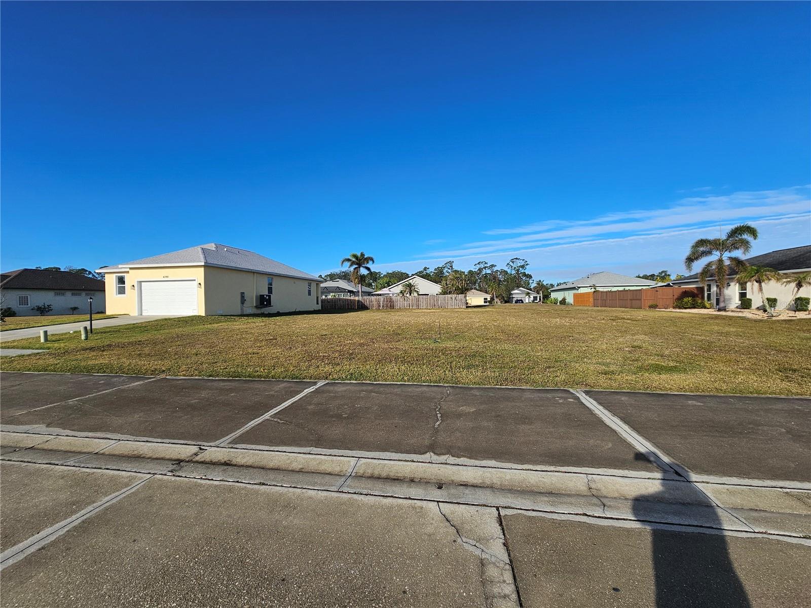 TREE TOPS AT RANGER POINT - Land
