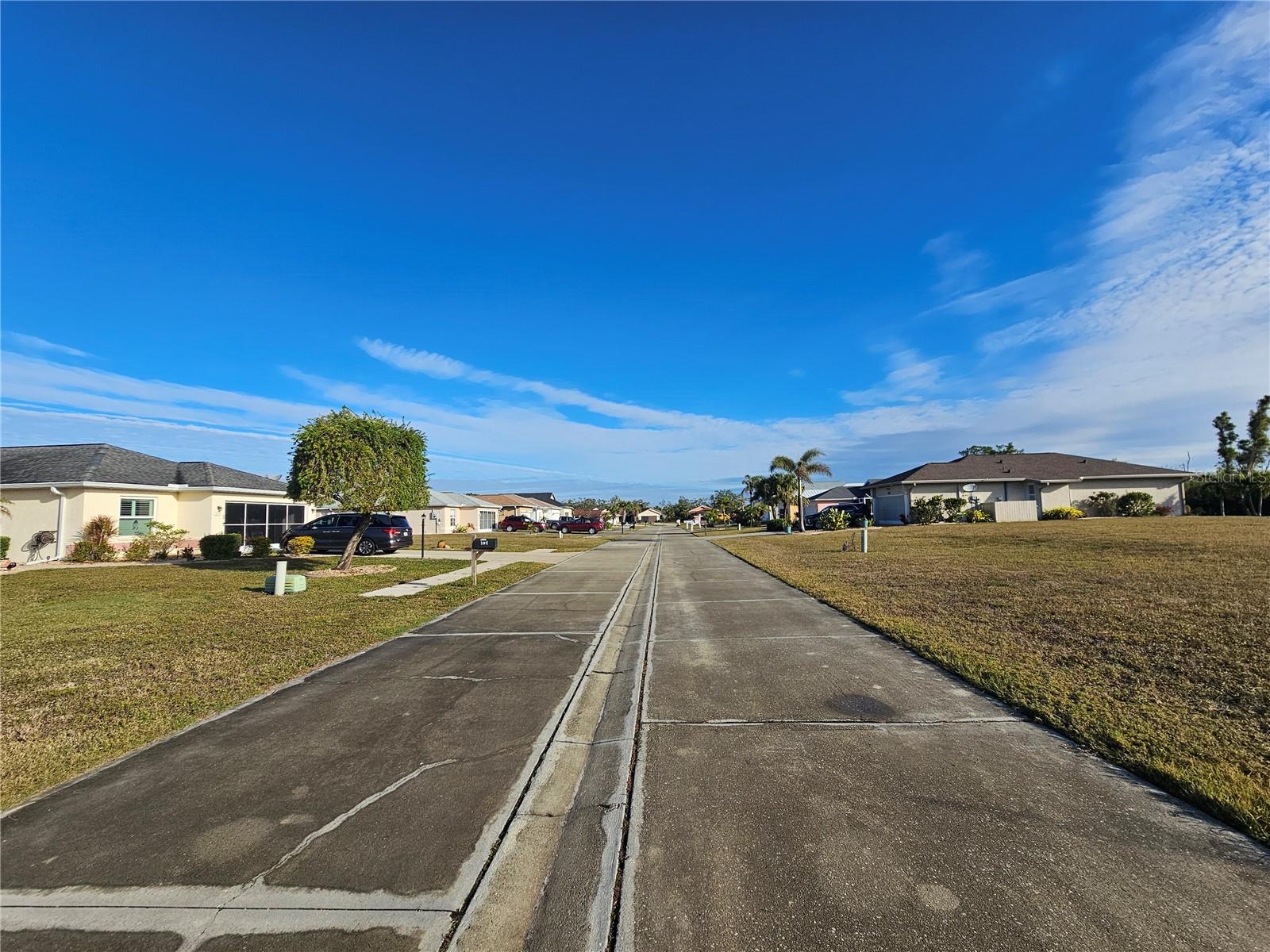 TREE TOPS AT RANGER POINT - Land