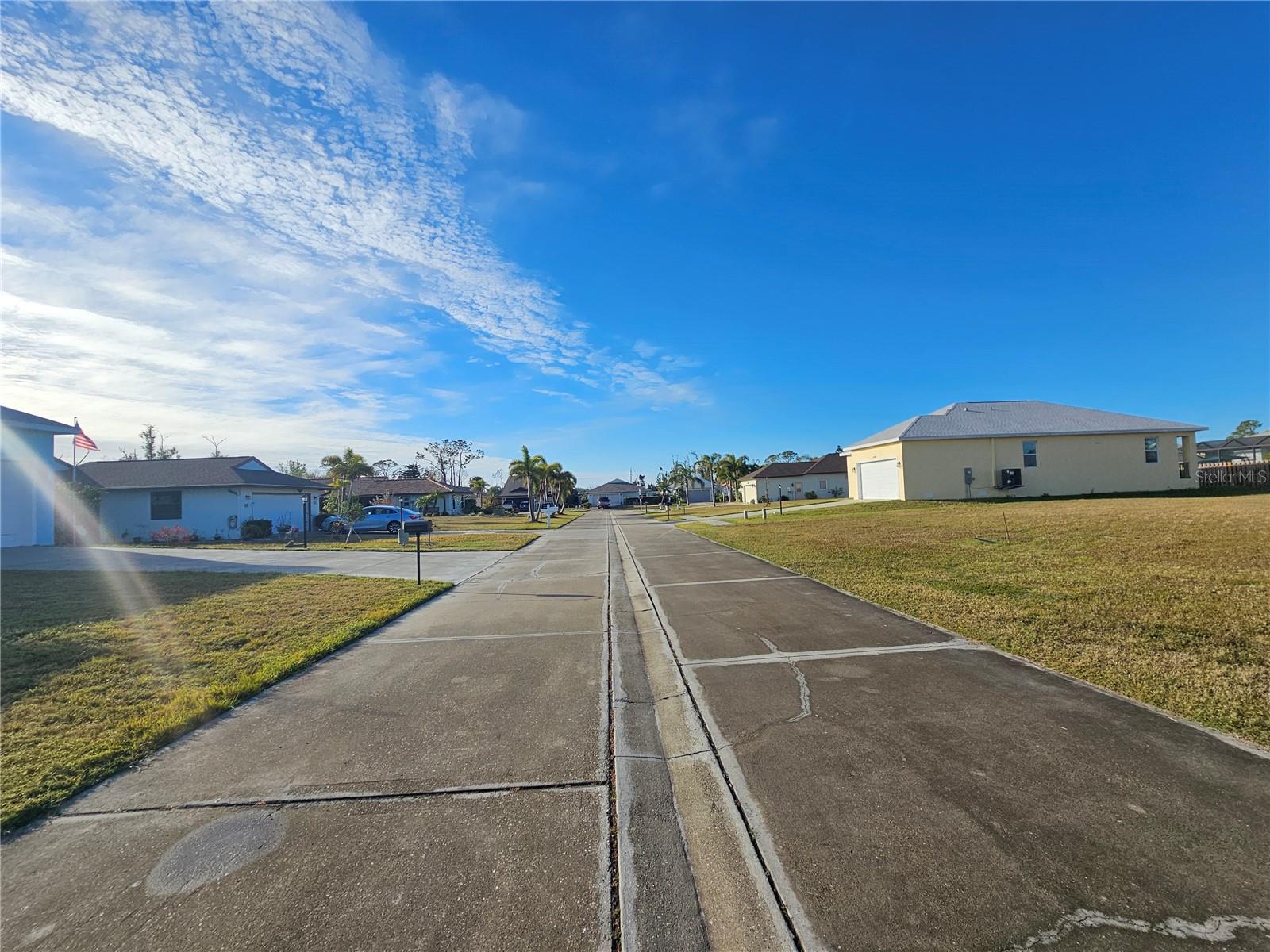 TREE TOPS AT RANGER POINT - Land
