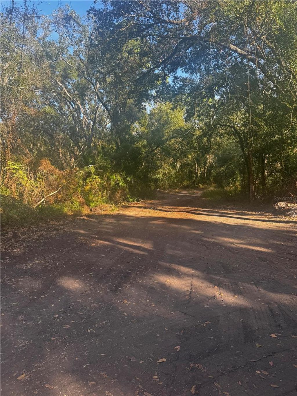 Photo of 9 Anno, Tampa, FL 33625 (MLS # TB8453609)