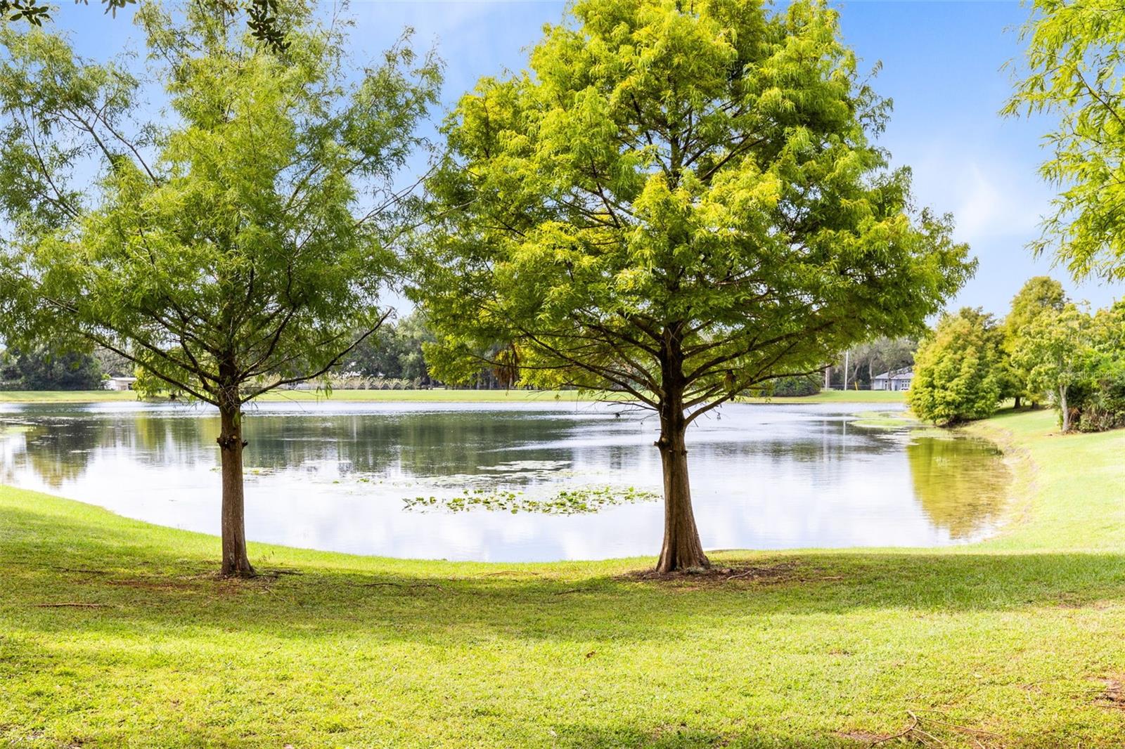 CLIFTON PARK - Residential