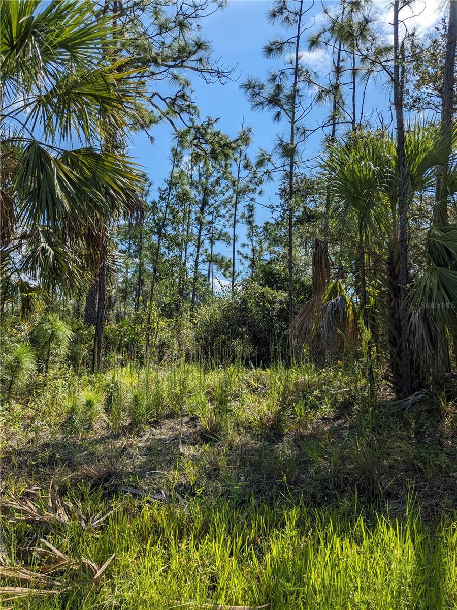 PORT CHARLOTTE SEC 038 - Land