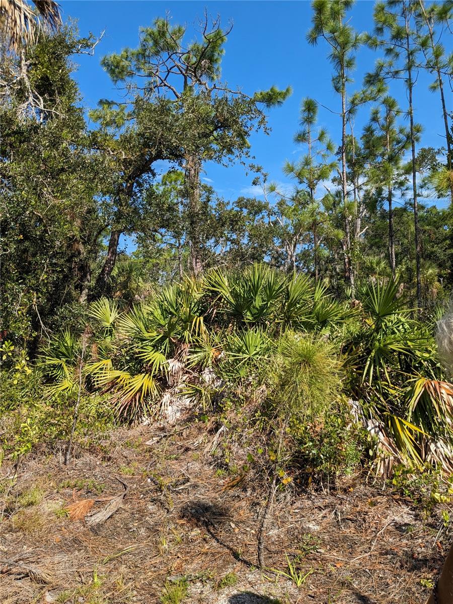 PORT CHARLOTTE SEC 038 - Land