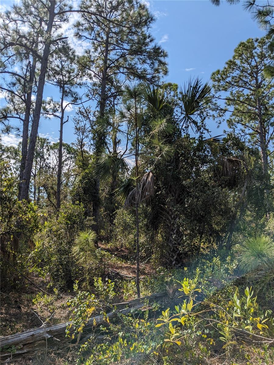 PORT CHARLOTTE SEC 038 - Land