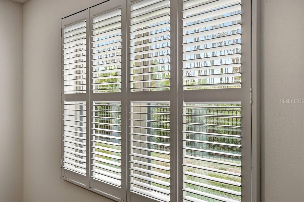 PALMS/SERENOA PH 4 - Residential