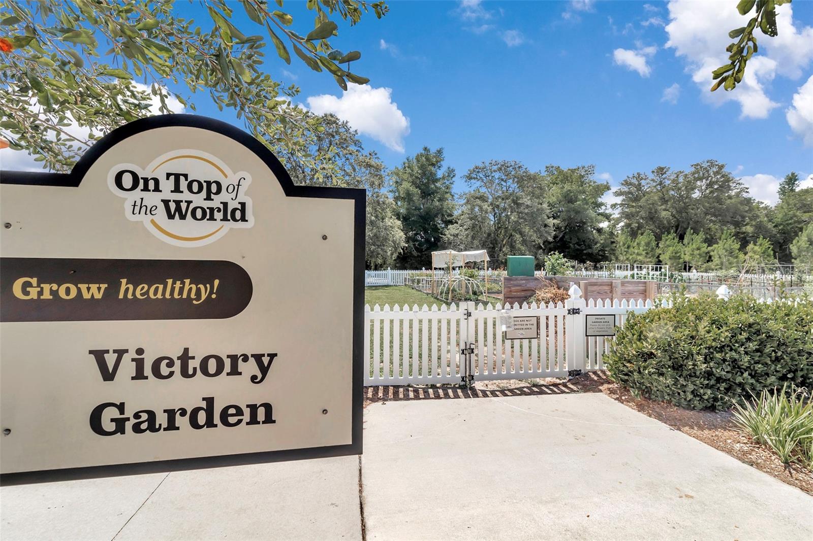 CIRCLE SQUARE WOODS - Residential