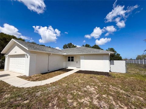 Photo of 8383 Pinewood Avenue, Brooksville, FL 34613 (MLS # O6418654)