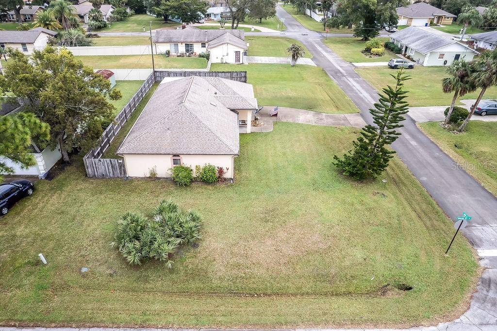 1331 UMBRELLA TREE DRIVE