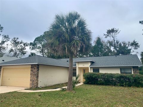 A home in PALM COAST