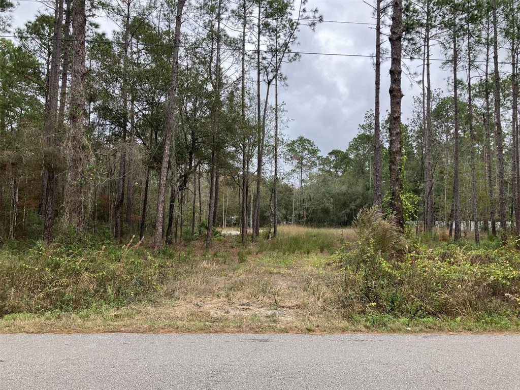 Photo of 10050 Ebert Avenue, Hastings, FL 32145 (MLS # FC314651)