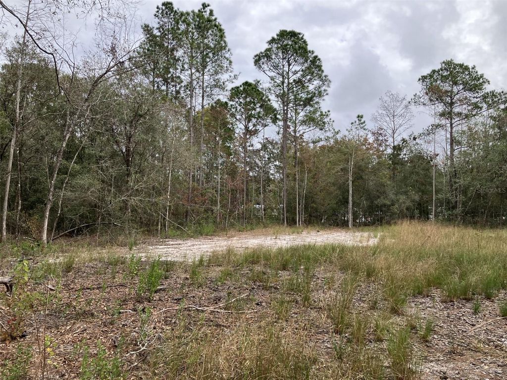 Photo of 10050 Ebert Avenue, Hastings, FL 32145 (MLS # FC314651)