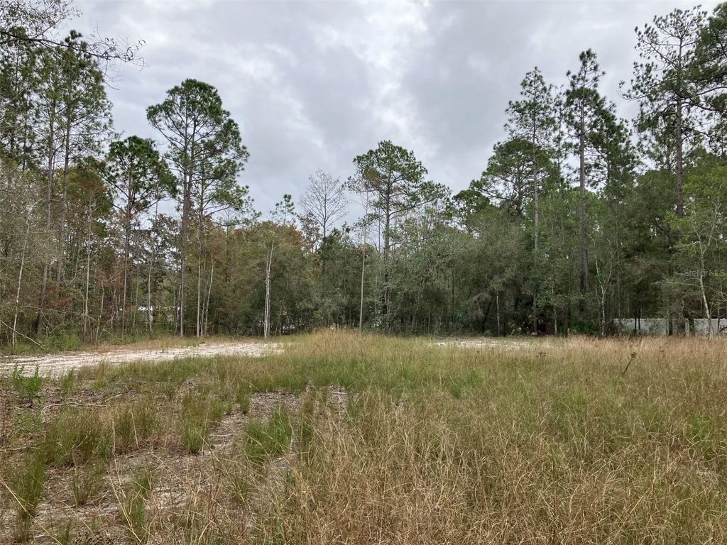 Photo of 10050 Ebert Avenue, Hastings, FL 32145 (MLS # FC314651)
