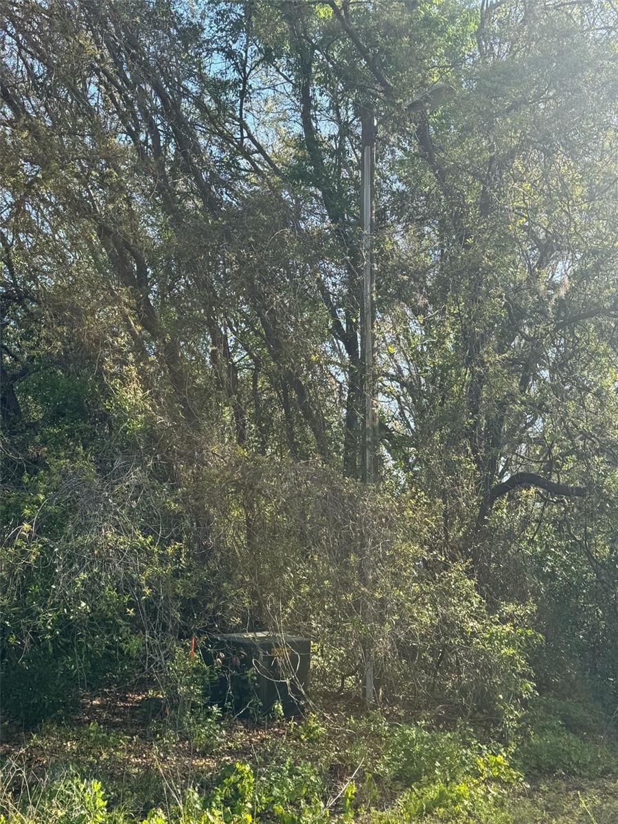 This wonderful 1.2309-acre lot, located at 3310 Treiman Blvd, Dade City, FL 33523, is an excellent opportunity to build your future home. With a prime location north of Dade City and just south of Highway 50 in Hernando County, this lot is surrounded by nature with enough trees to provide privacy. The area already has a few homes, demonstrating its development potential, while offering a quiet and peaceful setting. With ample space, you can build a single-family home with room for a pool, a garden, or even a detached dream suite. Conveniently located near restaurants, gas stations, and essential services, this lot is ready to make your dream a reality. Call today for more information!