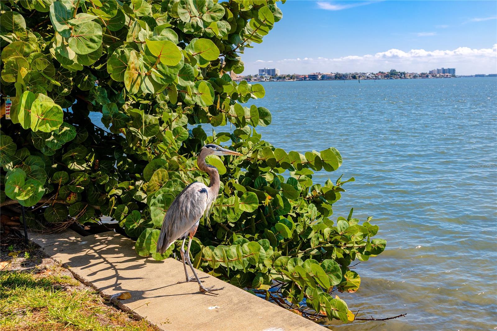 SHORE PLAZA BLDG - Residential