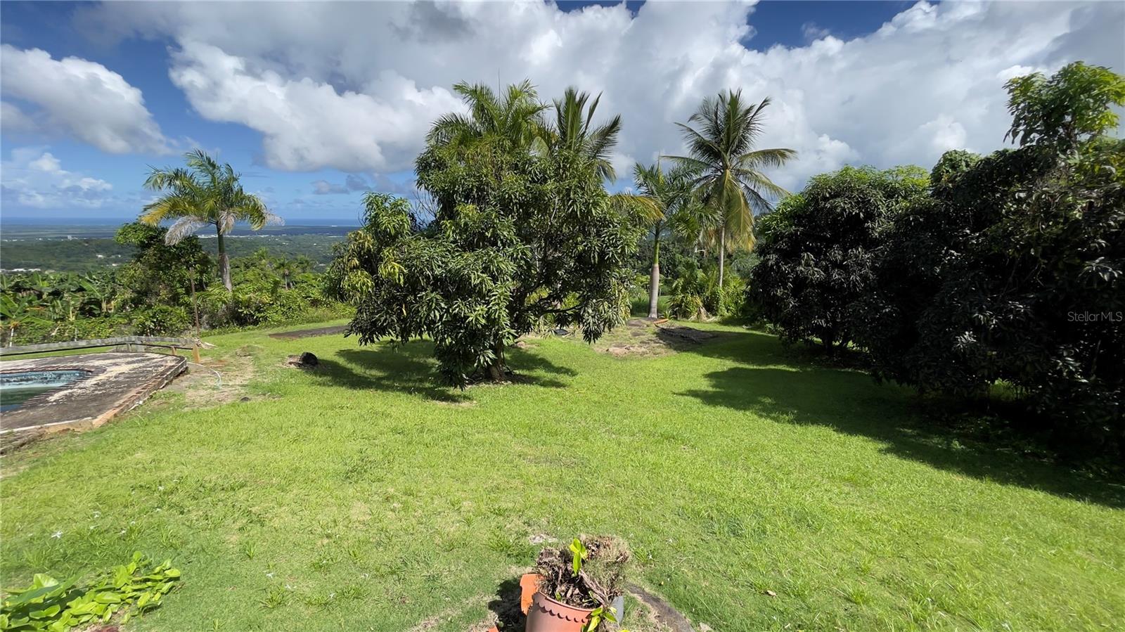 GUZMAN ARRIBA, WARD - Residential