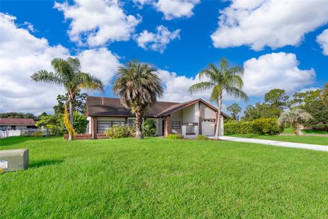 A home in KISSIMMEE