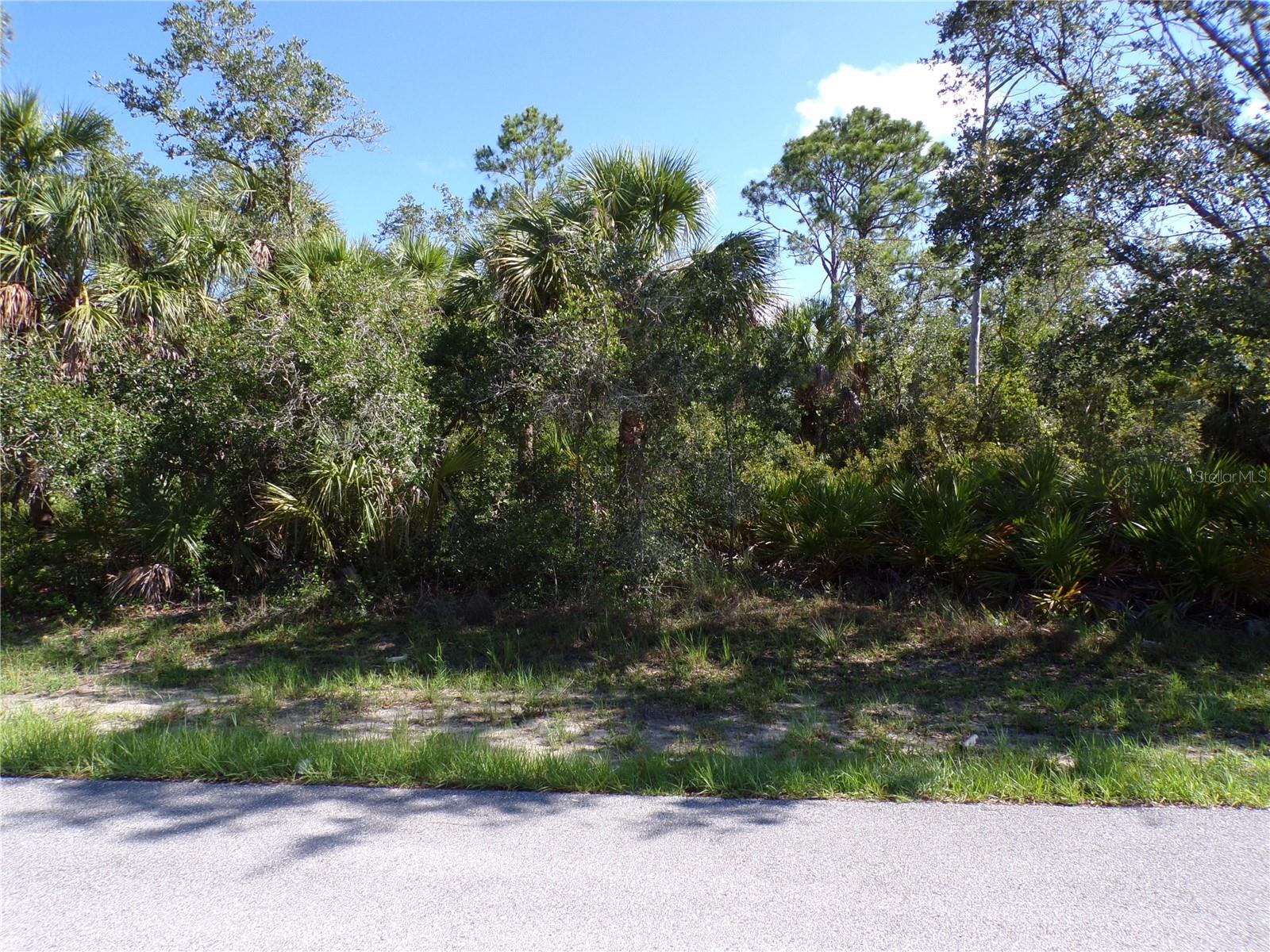 This lot is on a quiet street that would be a great place to build your dream home and retire or raise your family. Less than 12 miles to I75 makes this location an easy commute to almost anywhere, and only 16 miles to Chadwick park at Englewood Beach with amazing sunsets, 5 miles to Port Charlotte Town Center and only 12 miles Punta Gorda Historic district and waterfront park with lots of shopping and dining options. Tampa Bay Rays spring training and the fairgrounds are just minutes away, also multiple golf courses and some of the best boating and fishing in all of Florida. Red Soxs, Orioles, Twins and Braves spring training all within an hour’s drive. Buyer and buyers rep responsible for determining environment conditions and endangered species restrictions. This lot is priced to sell so please call for availability! This lot is at a great price point for the investor call today.