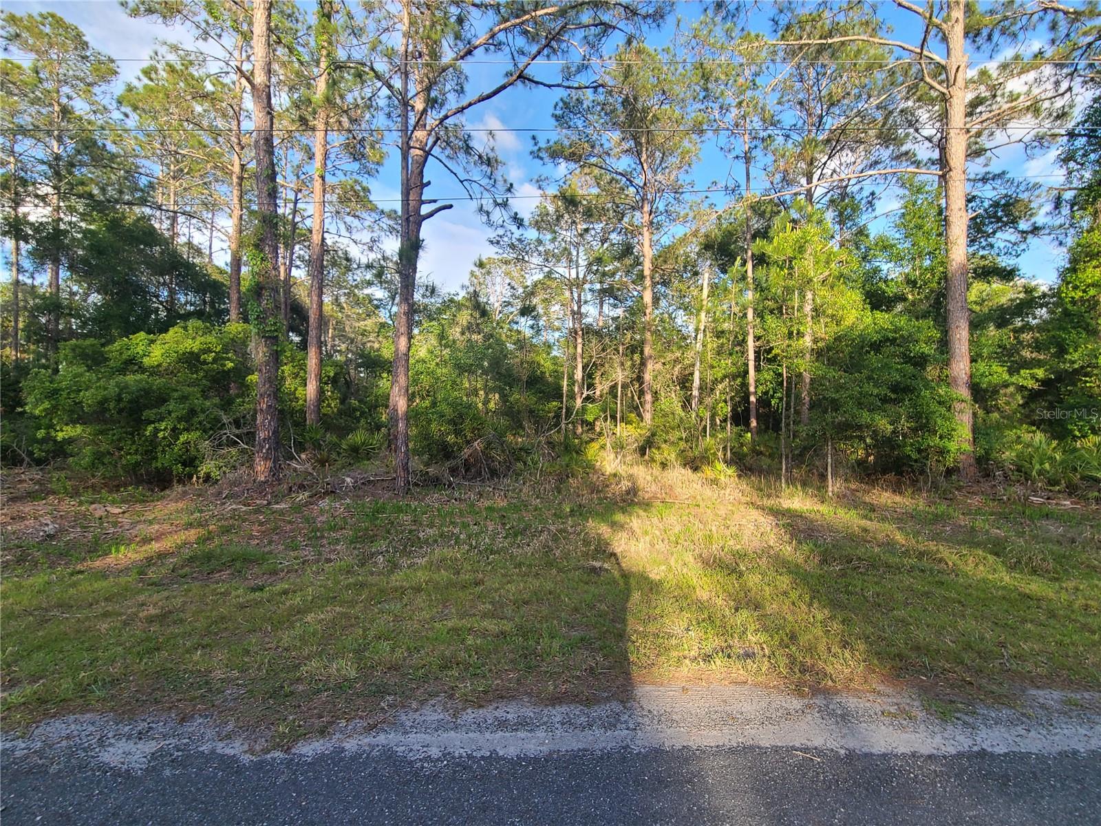 This lovely property offering 1.16 acres with room to roam would be an ideal place to build your dream home. Property is high and dry with no flooding issues. Enjoy the serene wildlife oasis of Crystal Manor with paved roads and new homes popping up! Country lifestyle where the deer and wildlife come to you yet still near the town of Crystal River popular for fishing, boating, scalloping, snorkeling and swimming with the Manatees. Just 5 minutes from the Gulf of Mexico boat ramp and 2 minutes to Lake Rousseau boat ramp with fishing dock! This lot strikes the perfect balance between seclusion and accessibility. Whether you yearn for a peaceful retreat, easy access to outdoor pursuits, or proximity to an array of amenities, this property sets the stage for a lifetime of cherished memories. There is an easement to the left of this lot for water drainage.