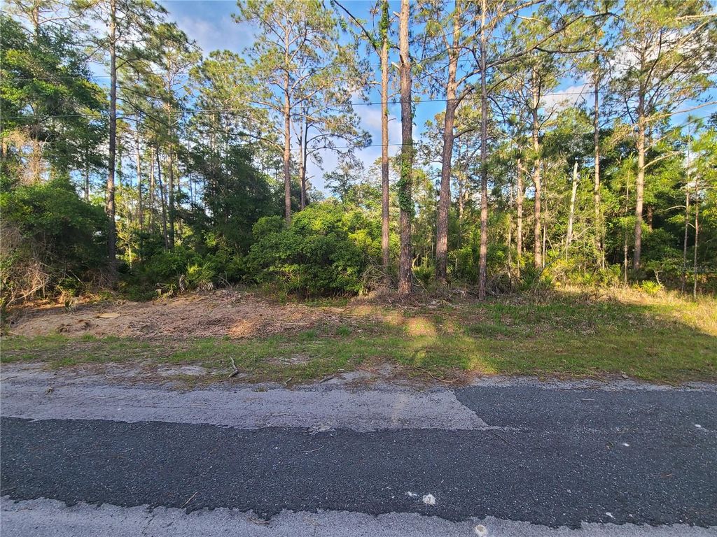 Photo of 9263 N Bonsai Avenue, Crystal River, FL 34428 (MLS # OM677516)