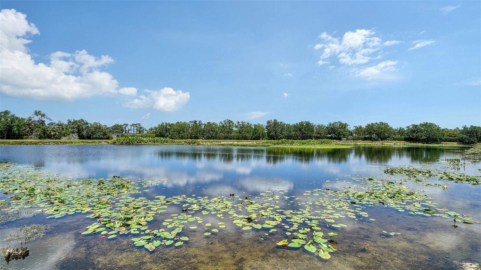 CHAPARRAL - Residential Lease