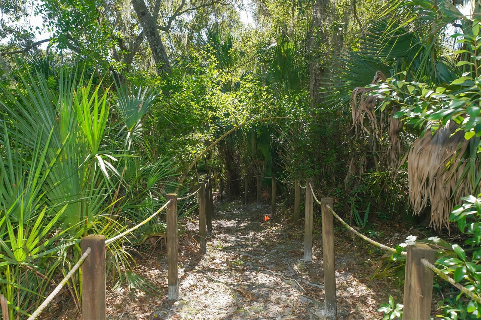 CHAPARRAL - Residential Lease