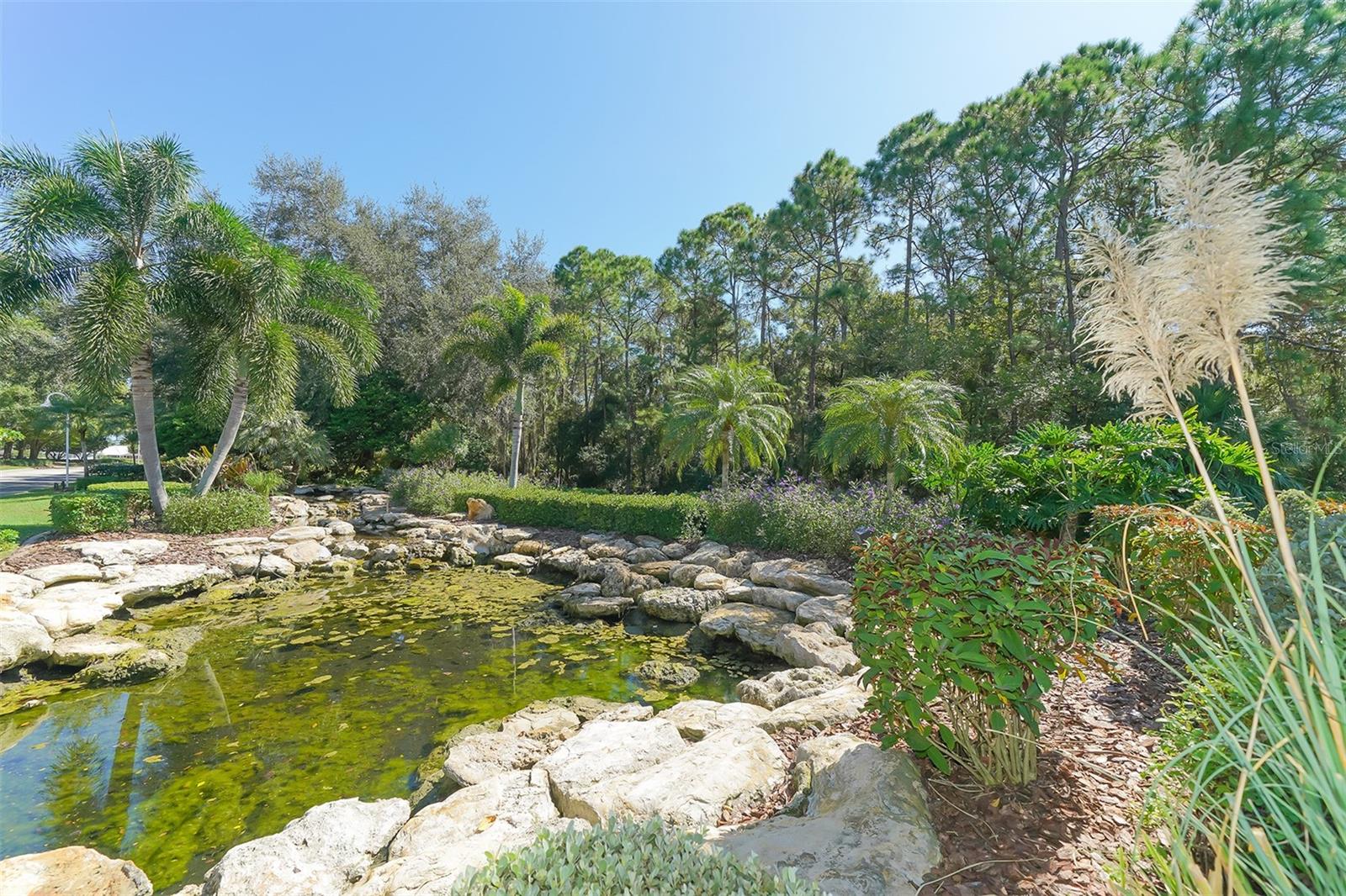 CHAPARRAL - Residential Lease