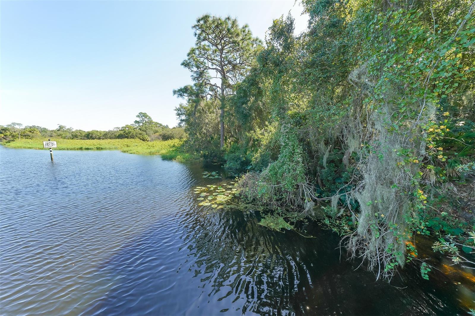 CHAPARRAL - Residential Lease