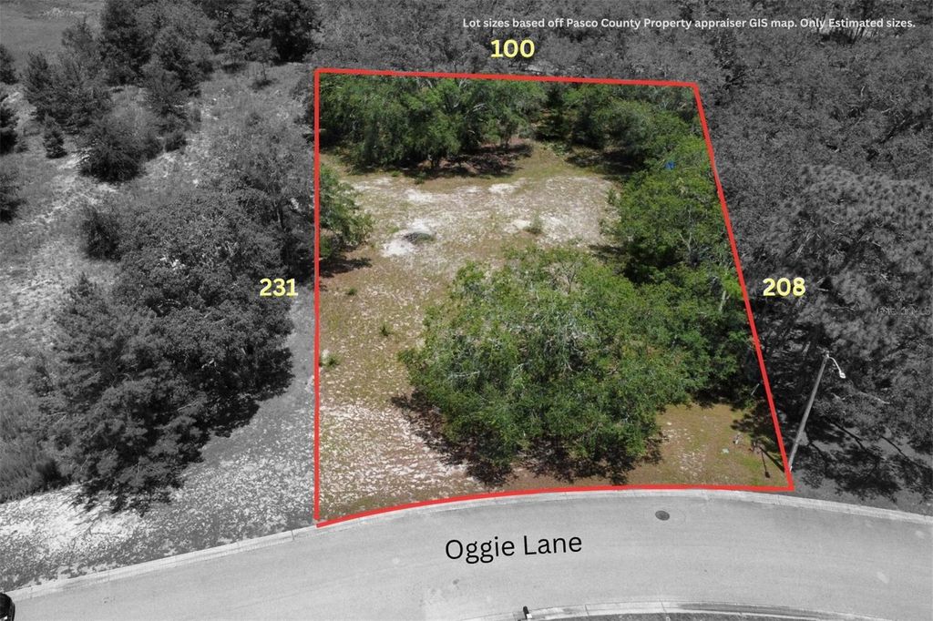 Photo of 14 Oggie Lane, Hudson, FL 34667 (MLS # W7877400)