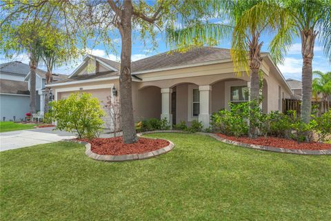 5803 TULIP FLOWER DRIVE RIVERVIEW FL 33578
