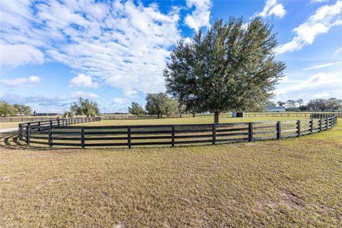 Tiny photo for 2655 NW 102nd Boulevard, Wildwood, FL 34785 (MLS # OM716761)