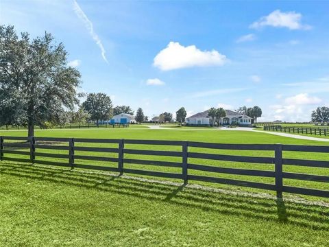 Tiny photo for 2655 NW 102nd Boulevard, Wildwood, FL 34785 (MLS # OM716761)