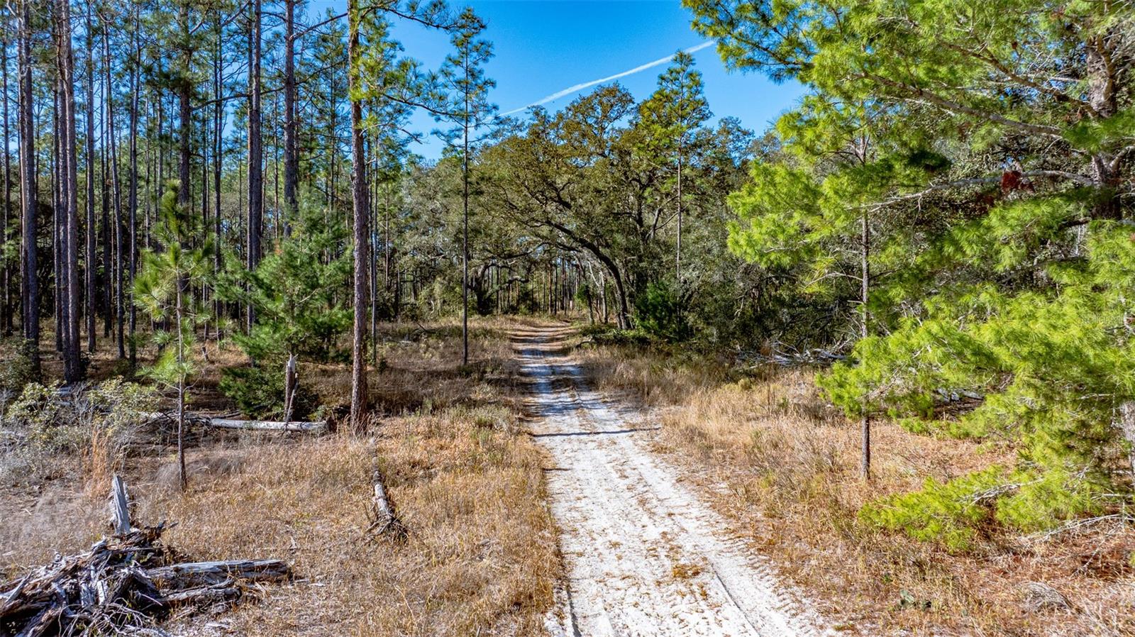 LONG LAKE ESTATES - Residential