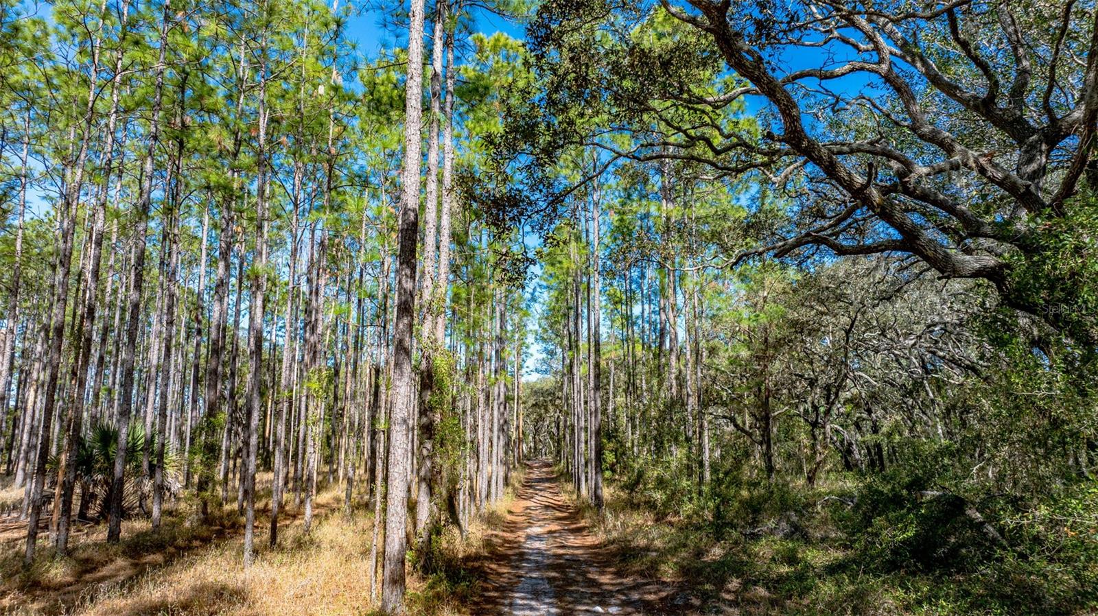LONG LAKE ESTATES - Residential