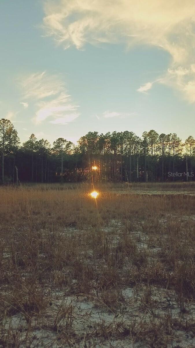 LONG LAKE ESTATES - Residential