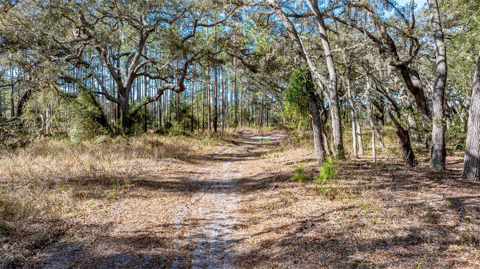 LONG LAKE ESTATES - Residential