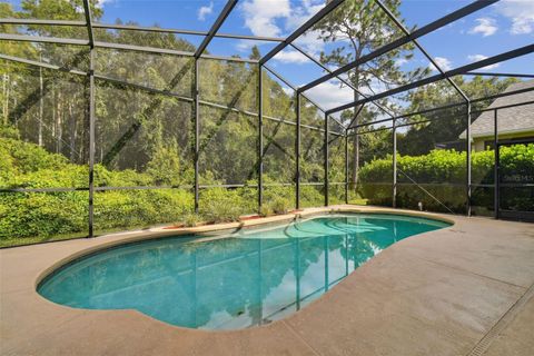 A home in LAND O LAKES