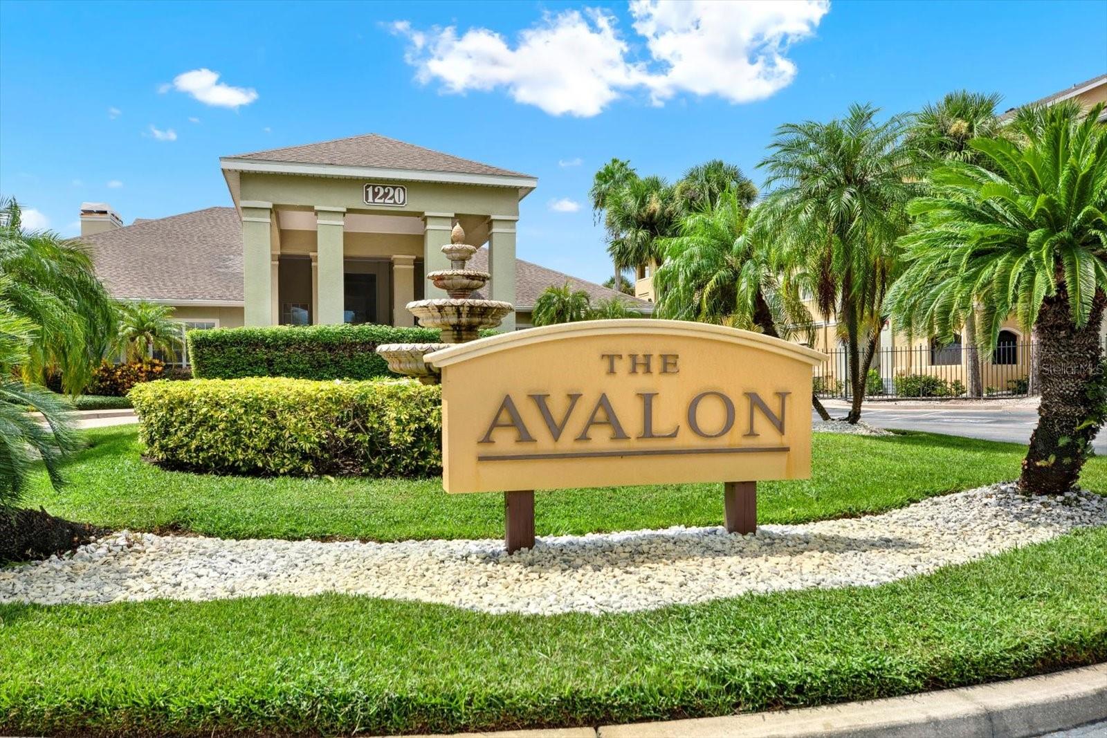 AVALON OF CLEARWATER THE CONDO - Residential